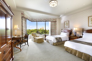 Western style room